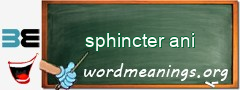 WordMeaning blackboard for sphincter ani